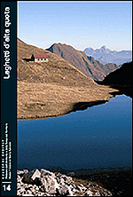 copertina_qh14